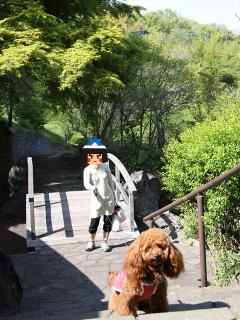 20130427_07.jpg