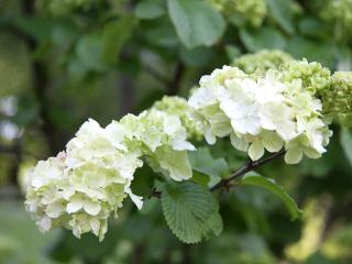 20130427_08.jpg