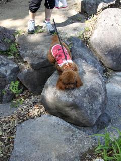20130427_10.jpg
