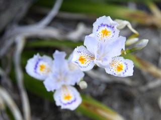 20130427_11.jpg