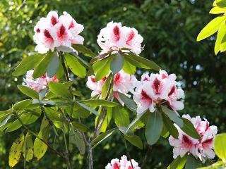 20130427_12.jpg