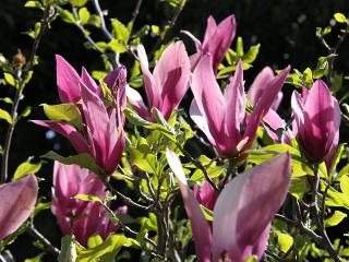 20130427_13.jpg