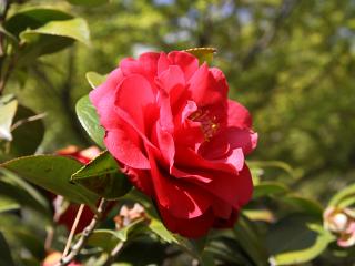 20130427_14.jpg