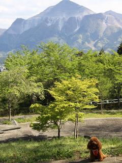20130427_15.jpg