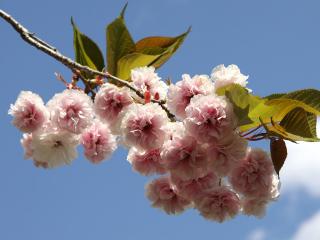 20130427_17.jpg