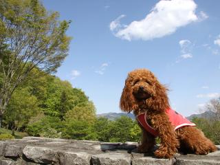 20130427_18.jpg