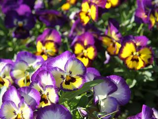 20130427_22.jpg