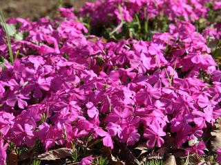 20130427_23.jpg