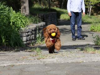 20130427_24.jpg