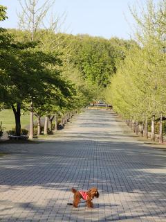 20130427_26.jpg