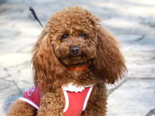 20130427_27.jpg
