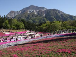 20130428_01.jpg