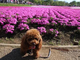 20130428_04.jpg