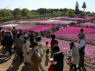 20130428_06.jpg