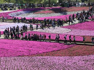 20130428_07.jpg