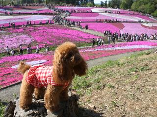 20130428_08.jpg