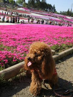 20130428_09.jpg