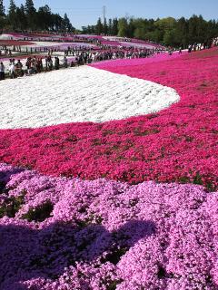 20130428_11.jpg