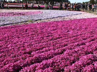 20130428_14.jpg