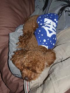 20130428_16.jpg