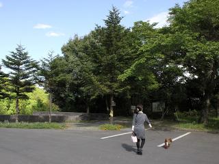 20130502_01.jpg