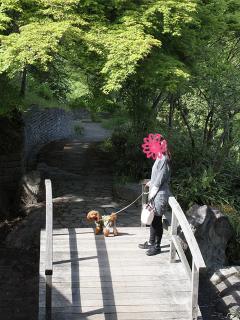 20130502_02.jpg