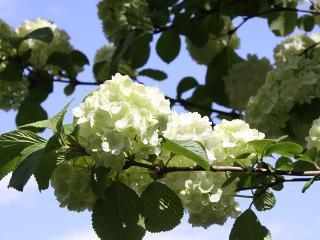 20130502_03.jpg