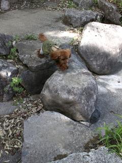 20130502_04.jpg