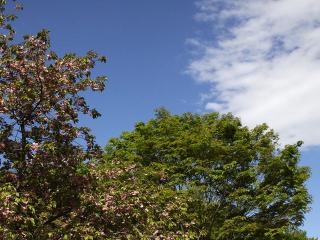 20130502_05.jpg