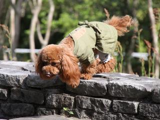 20130502_06.jpg