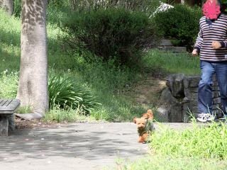 20130502_10.jpg