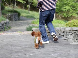 20130502_13.jpg