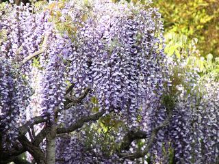 20130502_14.jpg