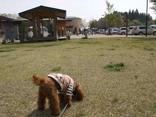 20130506_07.jpg