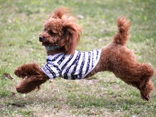 20130506_112.jpg