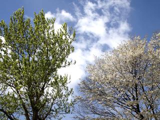 20130506_114.jpg