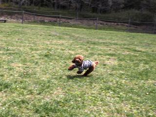 20130506_115.jpg