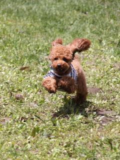 20130506_117.jpg