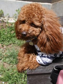 20130506_118.jpg