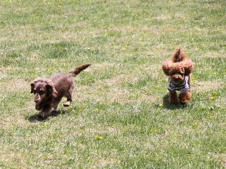 20130506_119.jpg