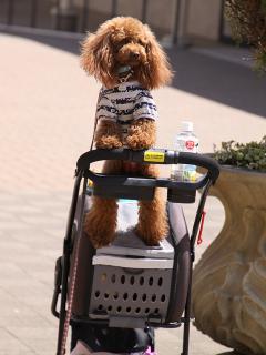 20130506_126.jpg