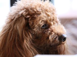 20130506_133.jpg