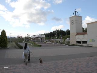 20130506_134.jpg