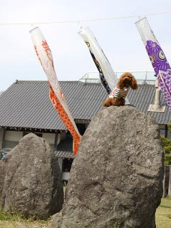 20130506_13.jpg