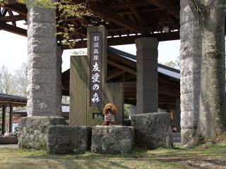 20130506_17.jpg