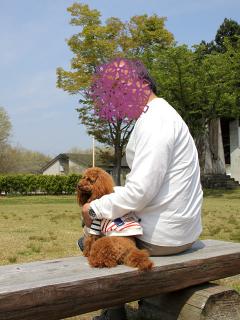 20130506_18.jpg