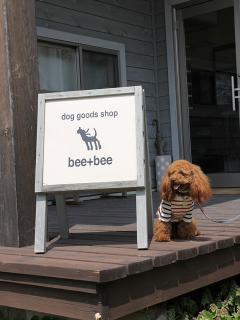 20130506_20.jpg