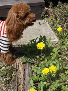 20130506_24.jpg