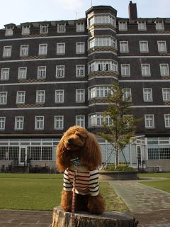 20130506_73.jpg