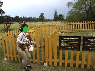 20130506_74.jpg